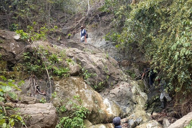 Private Hike to Wildlife Wonders at Parrot Mountain of Villanueva - Key Points