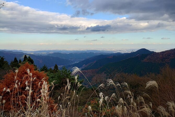 Private Hiking Activity Near Tokyo - About the Guide