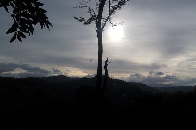Private Hiking Adventure to the Little Adam's Peak And Nine Arches Bridge. - The Nine Arches Bridge