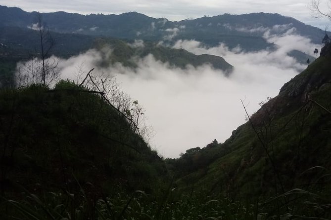 Private Hiking Adventure to the Little Adam's Peak And Nine Arches Bridge. - Reviews and Feedback
