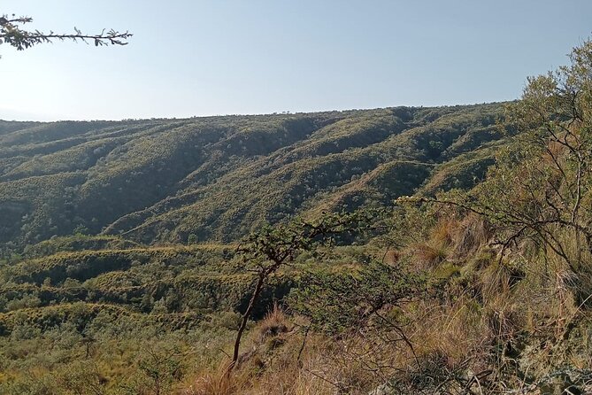 Private Hiking Day Tour to Mount Longonot National Park - Itinerary Details