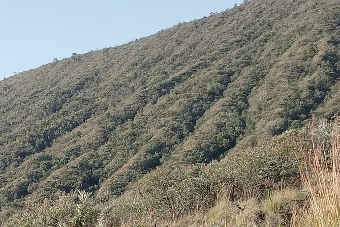 Private Hiking Day Tour to Mount Longonot National Park - Health and Safety Guidelines