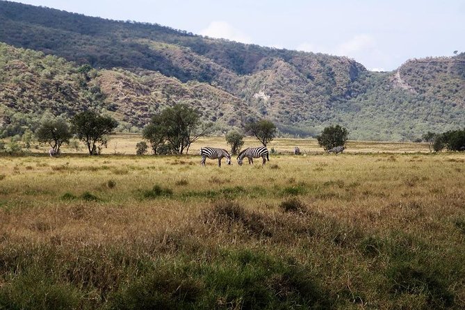 Private Hiking Day Trip to Mt. Longonot From Nairobi - Included in the Tour