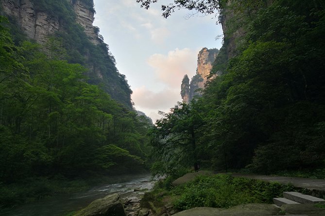 Private Hiking DayTour in Zhangjiajie National Park,Avatar Mountain+Bailong Lift - Experiencing the Breathtaking Bailong Lift