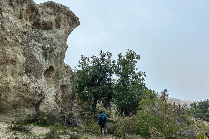 Private Hiking Experience to El Manzano Caves - Customer Reviews and Ratings