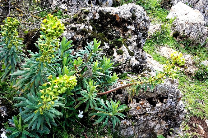 Private Hiking in El Torcal From Marbella or Malaga - Pricing and Group Size Considerations