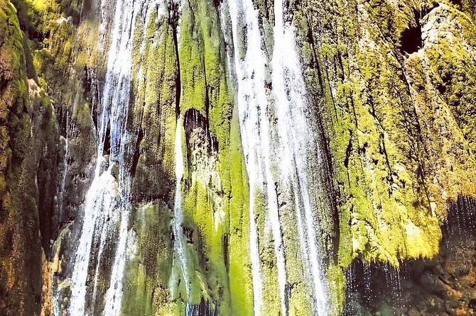 Private Hiking Salto El Limon - El Limon Waterfall Tour - Tour Overview