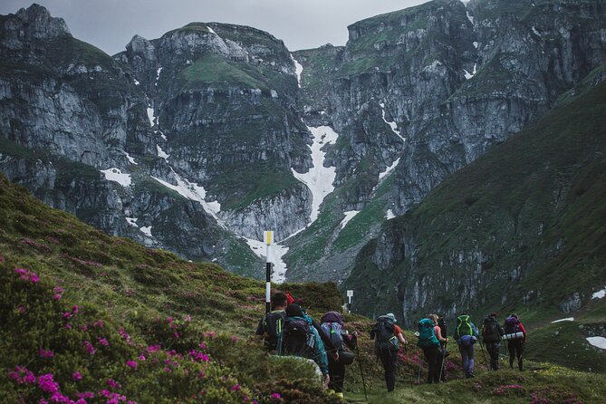 Private Hiking to Bucegi Natural Park From Brasov - Quick Points