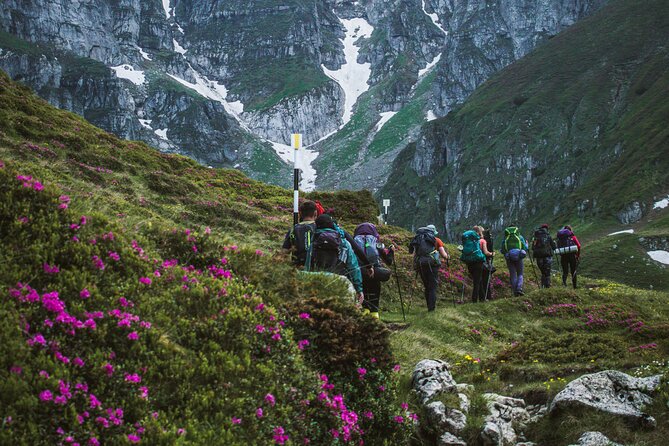 Private Hiking to Bucegi Natural Park From Brasov - Health and Safety Information