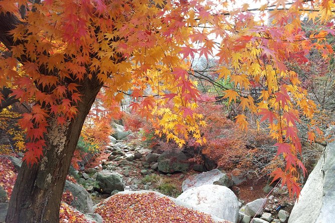 Private Hiking to Bukhansan & Korean Style Spa(Include Lunch) - Cultural Insights