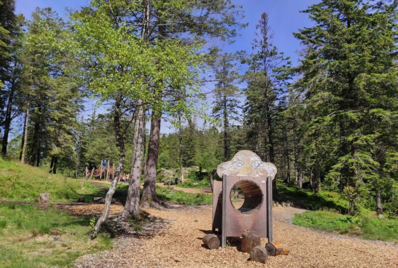 Private Hiking Tour Bergen Mountains Like a Local - Meeting Point and Details