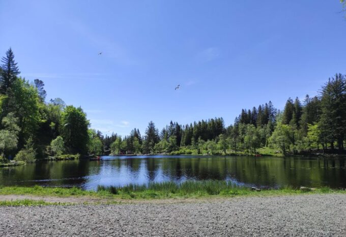 Private Hiking Tour Bergen Mountains Like a Local - Recap