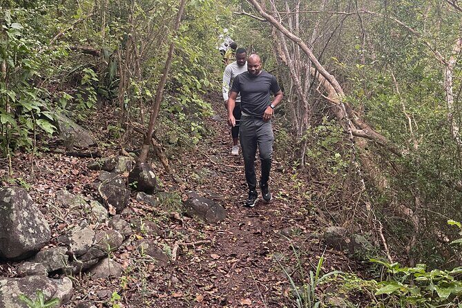 Private Hiking Tour in British Virgin Island with the Best 360 View - Key Points