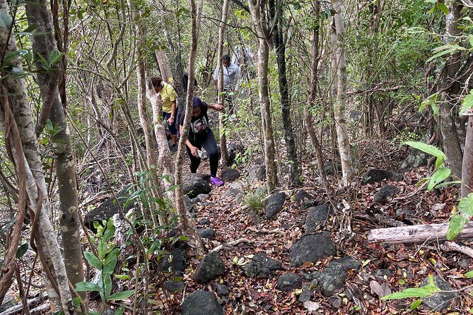 Private Hiking Tour in British Virgin Island with the Best 360 View - Authentic Insights from Past Reviewers