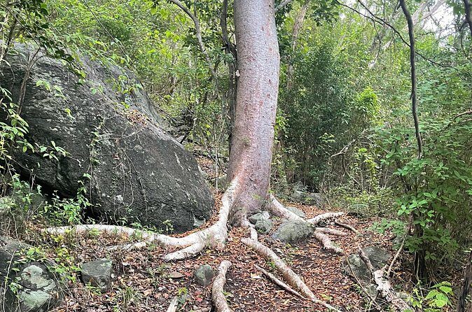 Private Hiking Tour in British Virgin Island with the Best 360 View - The Sum Up