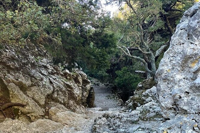 Private Hiking Tour in Imbros Gorge (Chania) - Included Amenities and Provisions