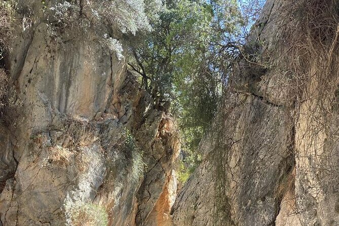Private Hiking Tour in Imbros Gorge (Chania) - Cretes Natural Wonders