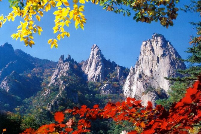 Private Hiking Tour in Seorak National Park With Korean Authentic Chicken Soup - Participant Information