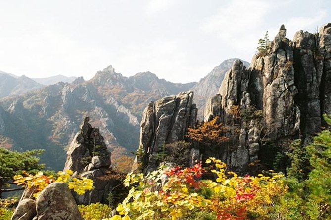 Private Hiking Tour in Seorak National Park With Korean Authentic Chicken Soup - Meeting and Pickup Details