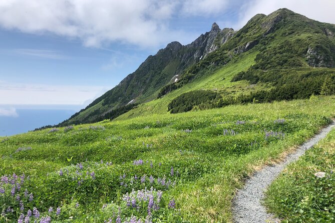 Private Hiking Tour in Sitka, Alaska - Key Points
