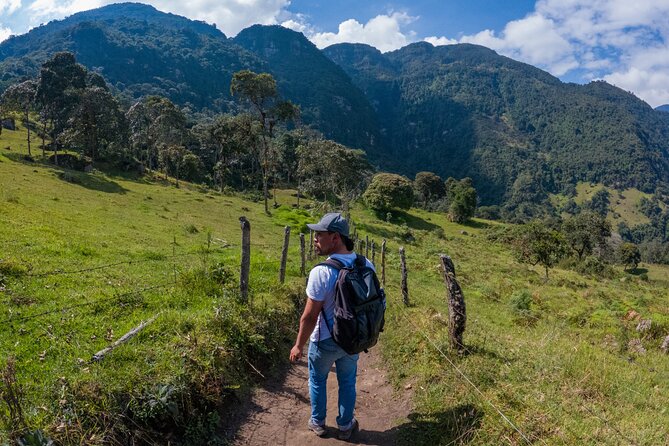 Private Hiking Tour La Chorrera Waterfall in Colombia - Highlights of the Waterfall