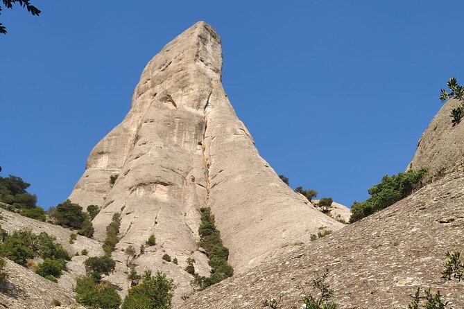 Private Hiking Tour of Montserrat With Certified Guide - Customer Reviews