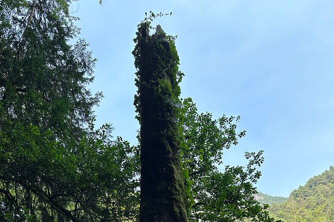 Private Hiking Tour to Olympus Mountain - Meeting and Pickup