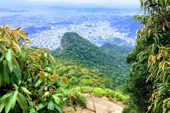 Private Hiking Tour to Tijuca Peak - Tijuca National Park - by OIR Aventura - Tour Overview