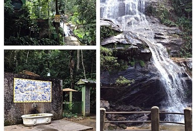 Private Hiking Tour to Tijuca Peak - Tijuca National Park - by OIR Aventura - Health and Accessibility