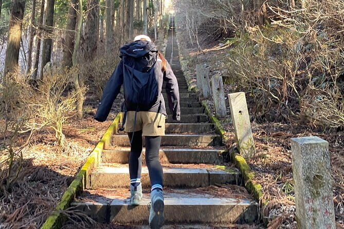 Private Hiking Tour to View Mt. Fuji - What to Expect on the Tour