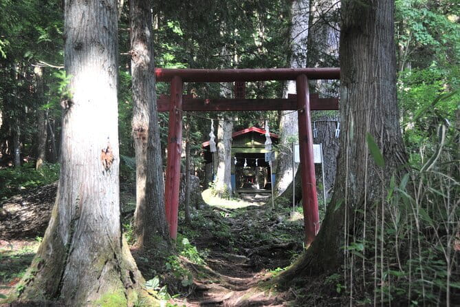 Private Hiking Tour to View Mt. Fuji - Getting to the Starting Point
