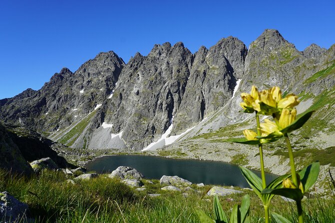 Private Hiking Tour Visit to Slovakia With Licensed Guide - Reviews and Feedback