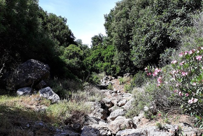 PRIVATE Hiking Walking GORGE Nearby Hersonissos CRETE - Whats Included in the Hike