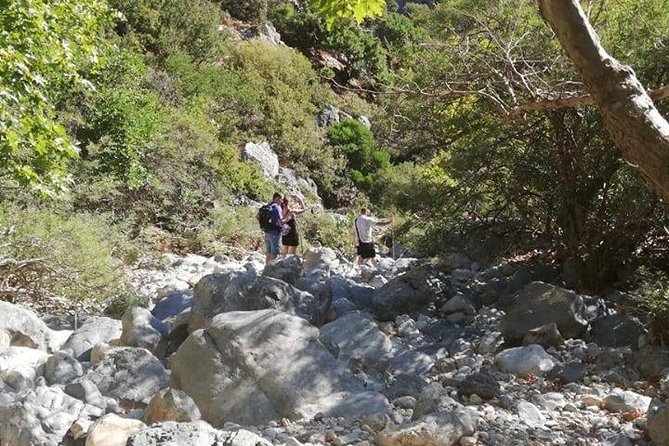 PRIVATE Hiking Walking GORGE Nearby Hersonissos CRETE - Customer Reviews and Ratings