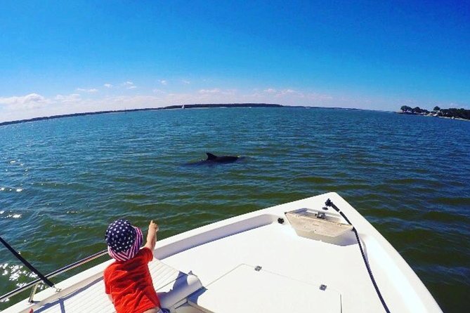 Private Hilton Head Dolphin Watching Tour With Waterfront Dining Stops - Tour Overview
