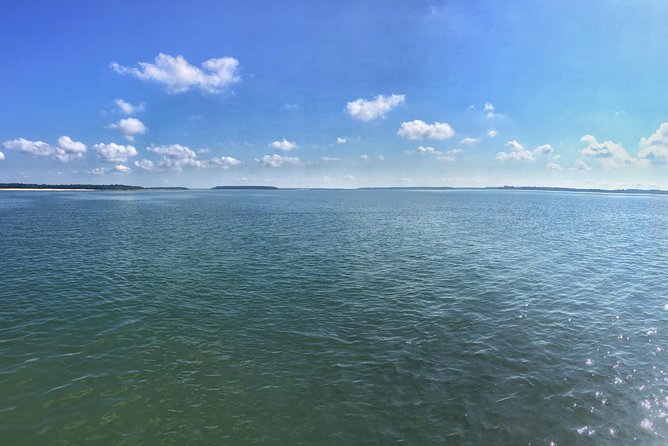 Private Hilton Head Dolphin Watching Tour With Waterfront Dining Stops - Dolphin Watching Highlights