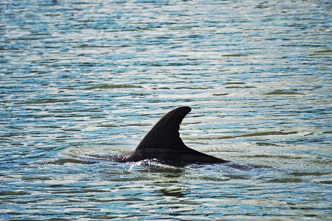 Private Hilton Head Dolphin Watching Tour With Waterfront Dining Stops - Waterfront Dining Experiences