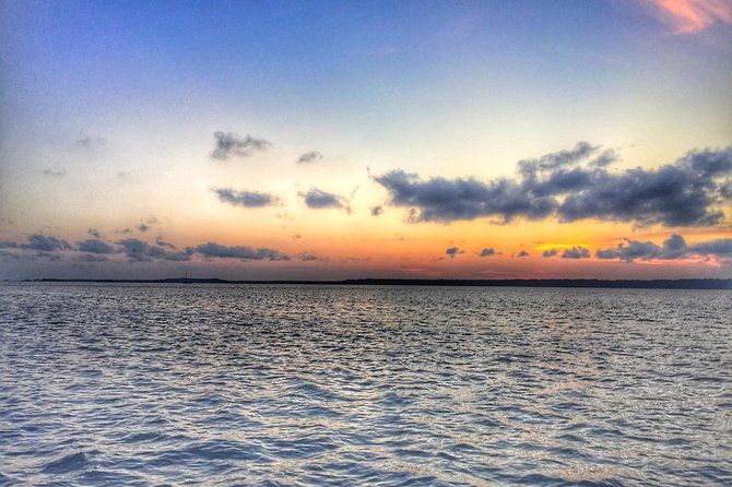 Private Hilton Head Dolphin Watching Tour With Waterfront Dining Stops - Safety and Accessibility