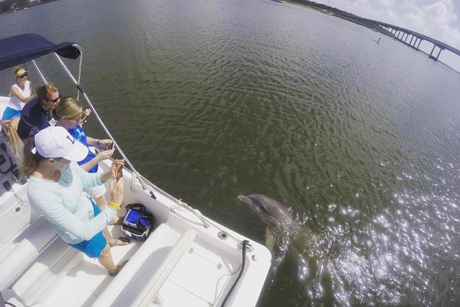 Private Hilton Head Sunset Dolphin Tour - Meeting Location