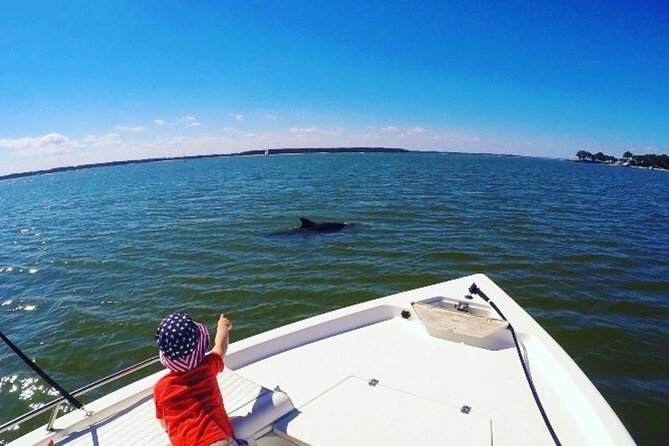 Private Hilton Head Sunset Dolphin Tour - Accessibility and Restrictions