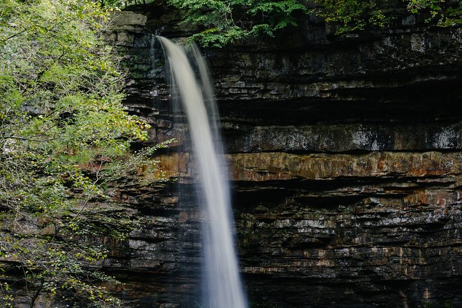 Private Hire: Yorkshire Dales From York in 16 Seater Minibus - Additional Information