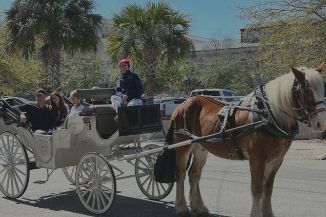 Private Historic Haunted Carriage Tour - Palmetto Carriage Works - Group Size and Pricing