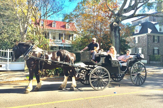 Private Historic Horse & Carriage Tour of Charleston - Meeting & Pickup