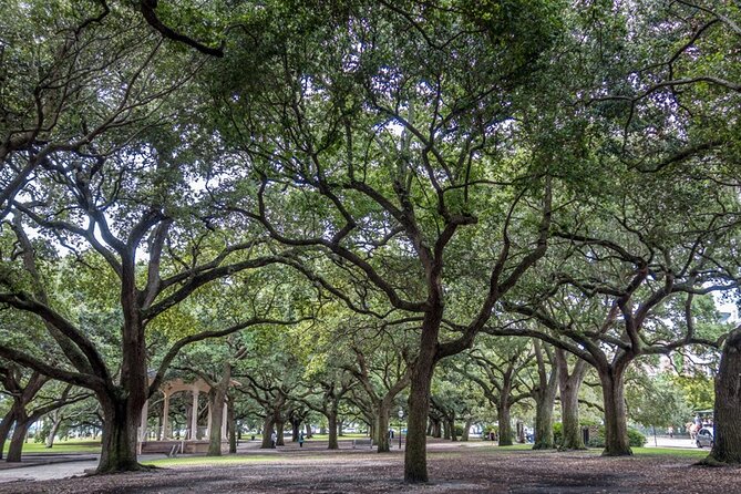 Private Historic Horse & Carriage Tour of Charleston - Cancellation Policy