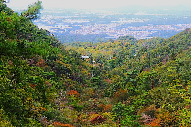 Private Historic Road Hike in the Healing Forest of Arima - Tips for a Comfortable Hike