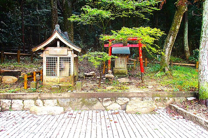 Private Historic Road Hike in the Healing Forest of Arima - Booking and Cancellation Policy