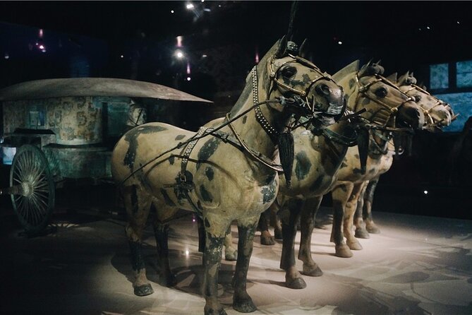 Private Historical and Culture Tour in Xian - Key Points