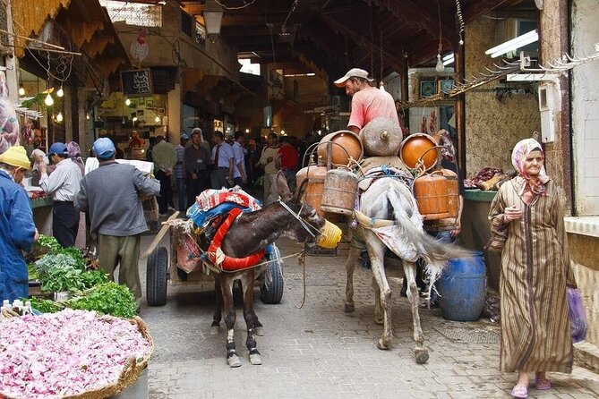Private Historical Fez Guided Tour Including All Entrance Fees - Tour Overview