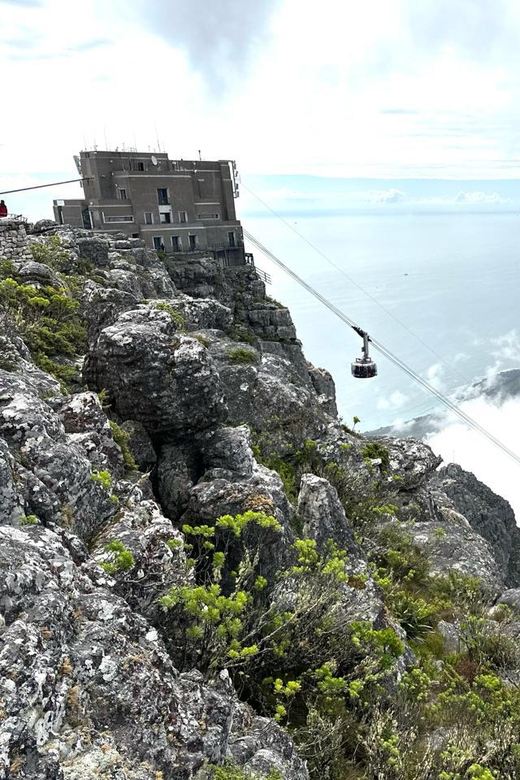 Private Historical Robben Island Pre Book and Table Mountain - Itinerary and Activities