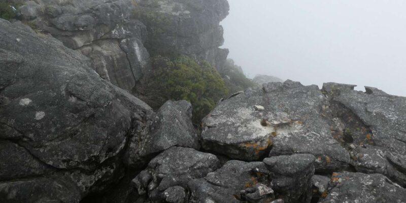 Private Historical Robben Island Pre Book and Table Mountain - Important Information and Guidelines